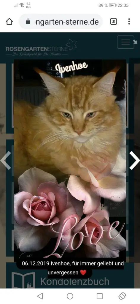 Andachtsbild von Papa und Mama 