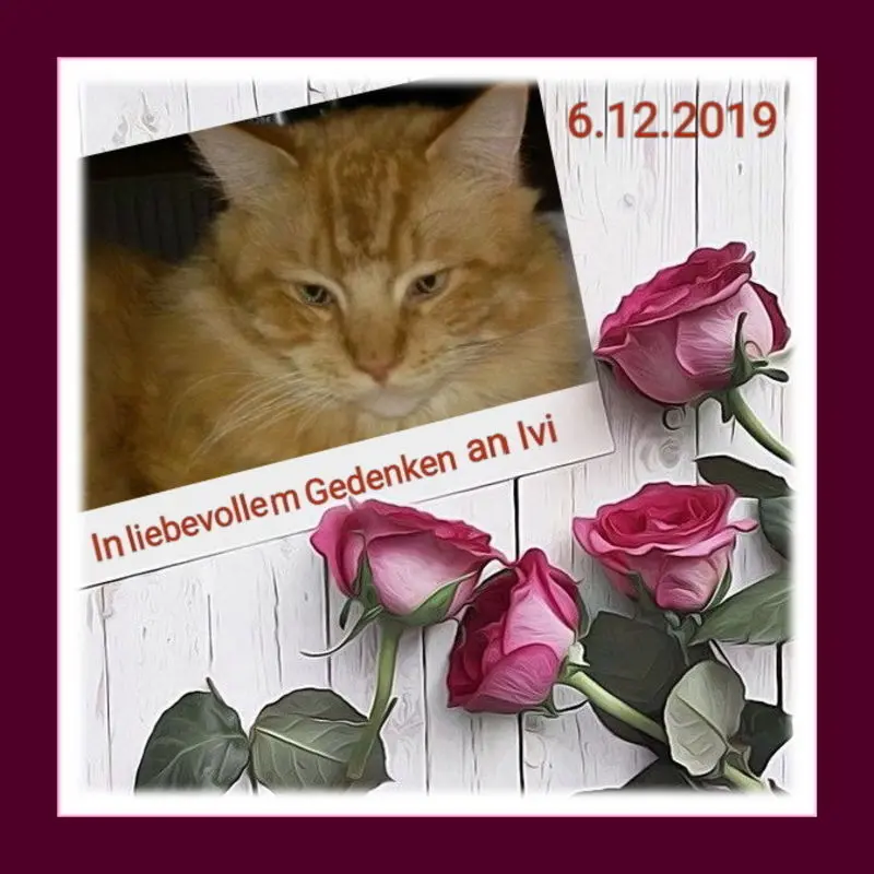 Andachtsbild von Sabine mit Kaspar tief im Herzen