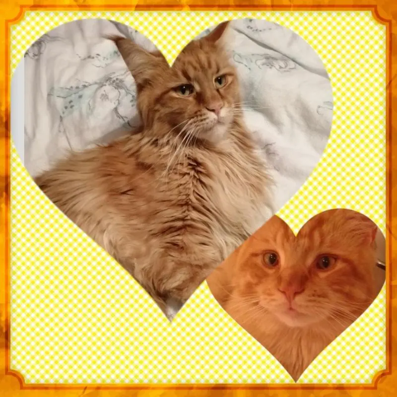 Andachtsbild von Papa und Mama 