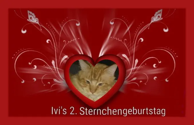 Andachtsbild von 2. Sternchengeburtstag