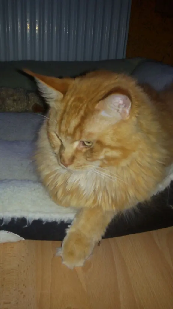 Andachtsbild von Papa und Mama 