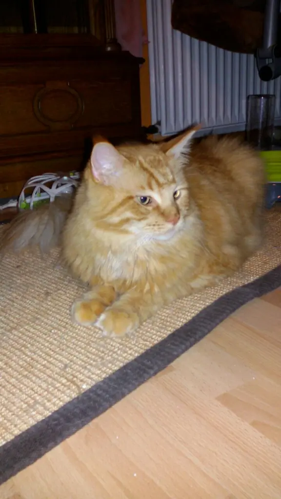 Andachtsbild von Papa und Mama 