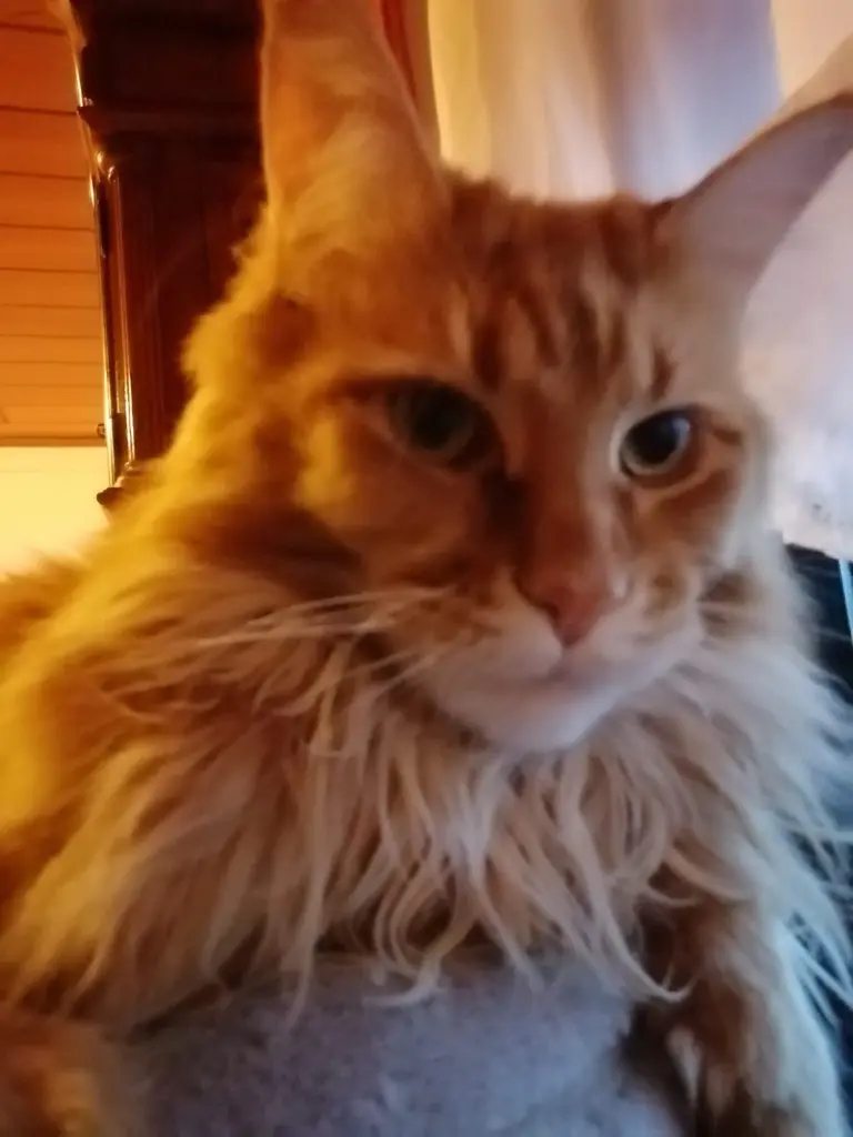 Andachtsbild von Papa und Mama 