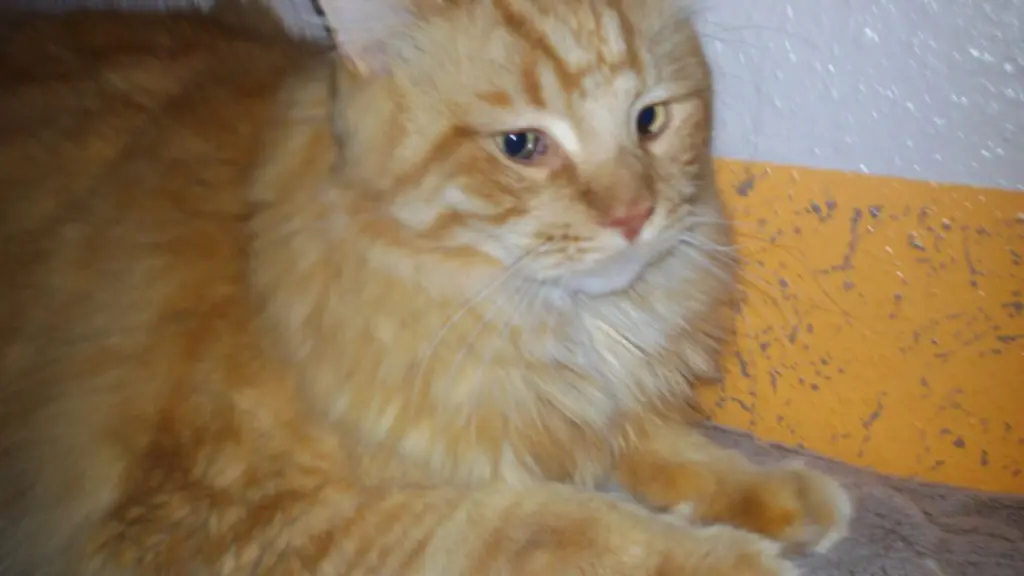 Andachtsbild von Papa und Mama 