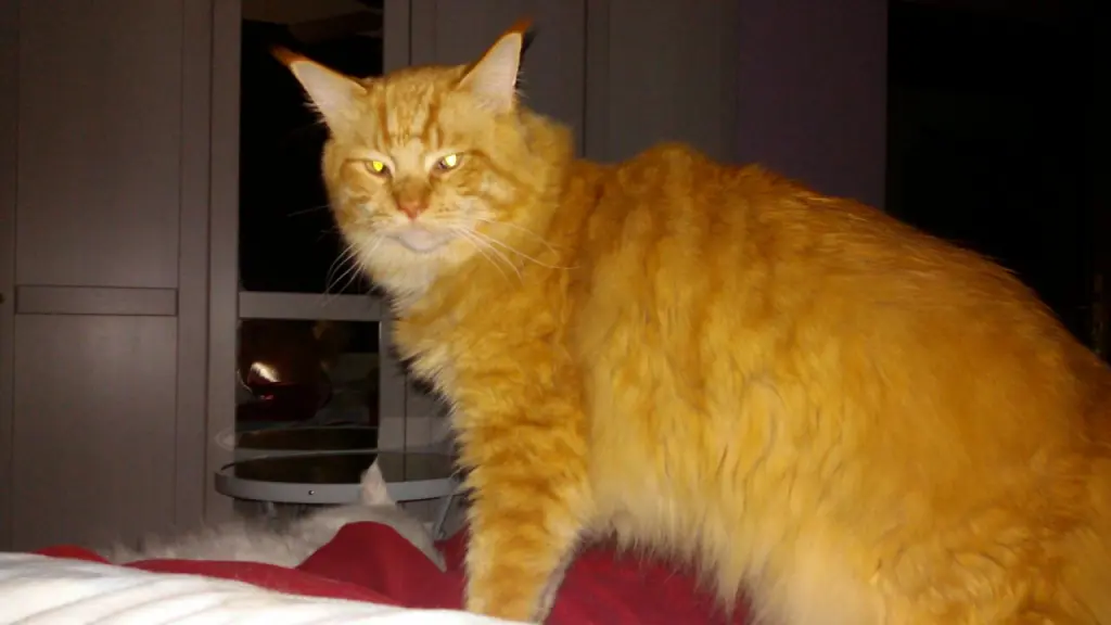 Andachtsbild von Papa und Mama 