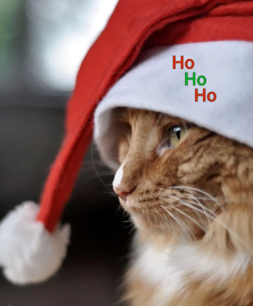 Andachtsbild von Sabine mit Kaspar tief im Herzen☸ڿڰۣ❤️