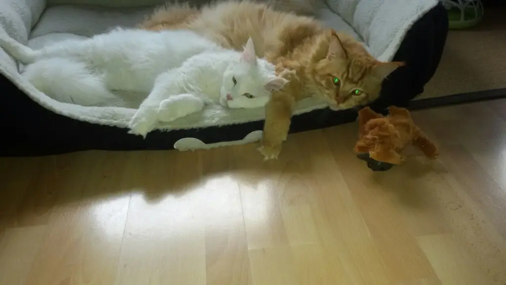 Andachtsbild von Papa und Mama 