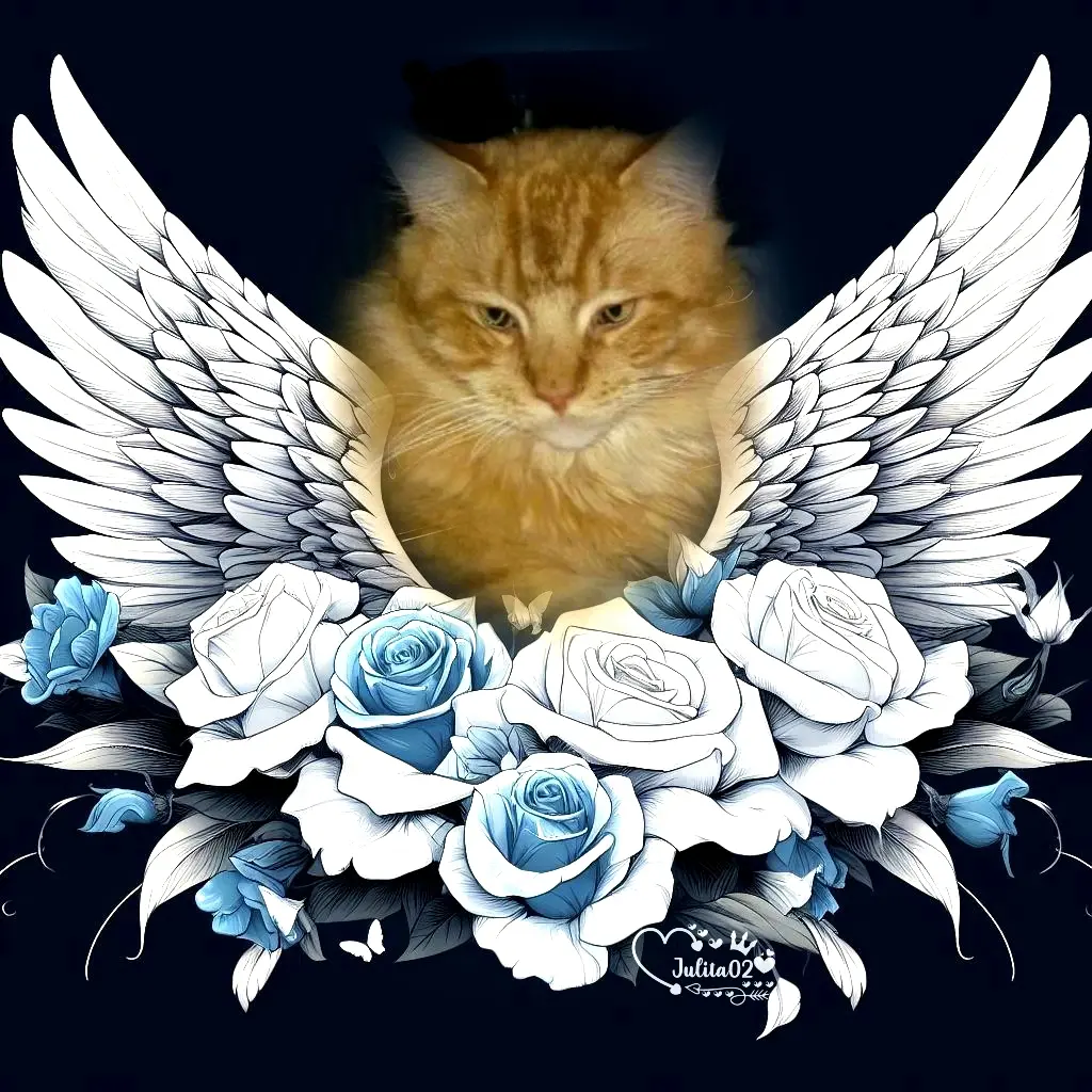 Andachtsbild von Ivi's 4.⭐️Sternen Gedenkjahr