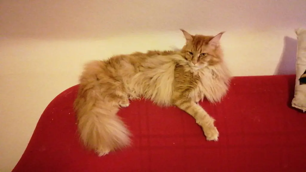 Andachtsbild von Papa u Mama 