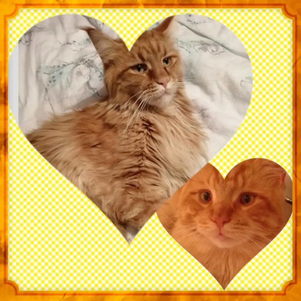 Andachtsbild von Papa u Mama