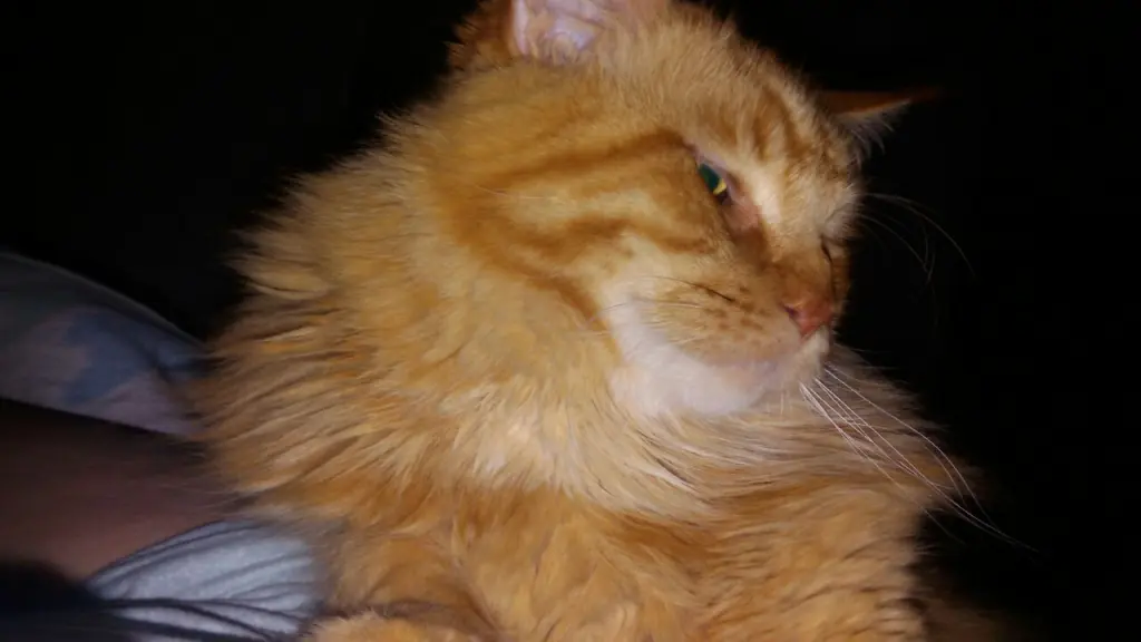 Andachtsbild von Papa u Mama 