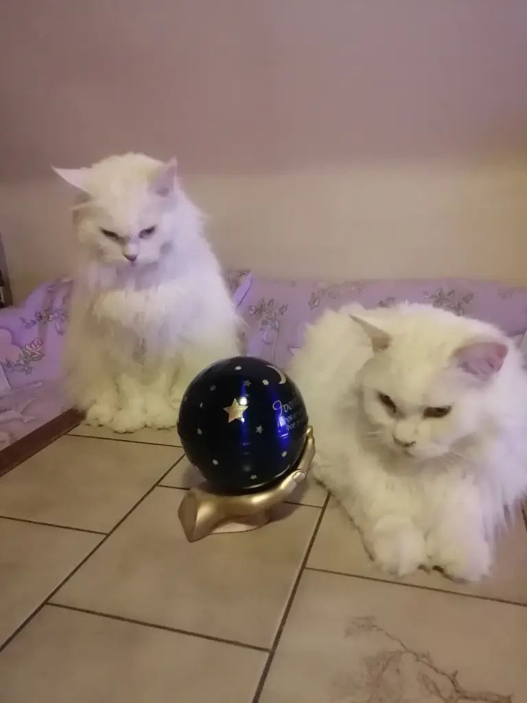 Andachtsbild von Papa u. Mama