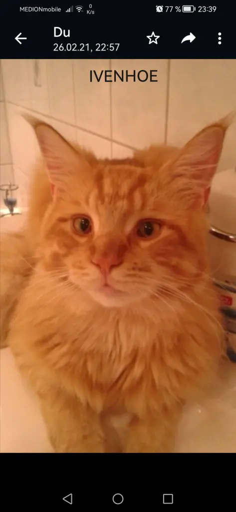 Andachtsbild von Papa und Mama