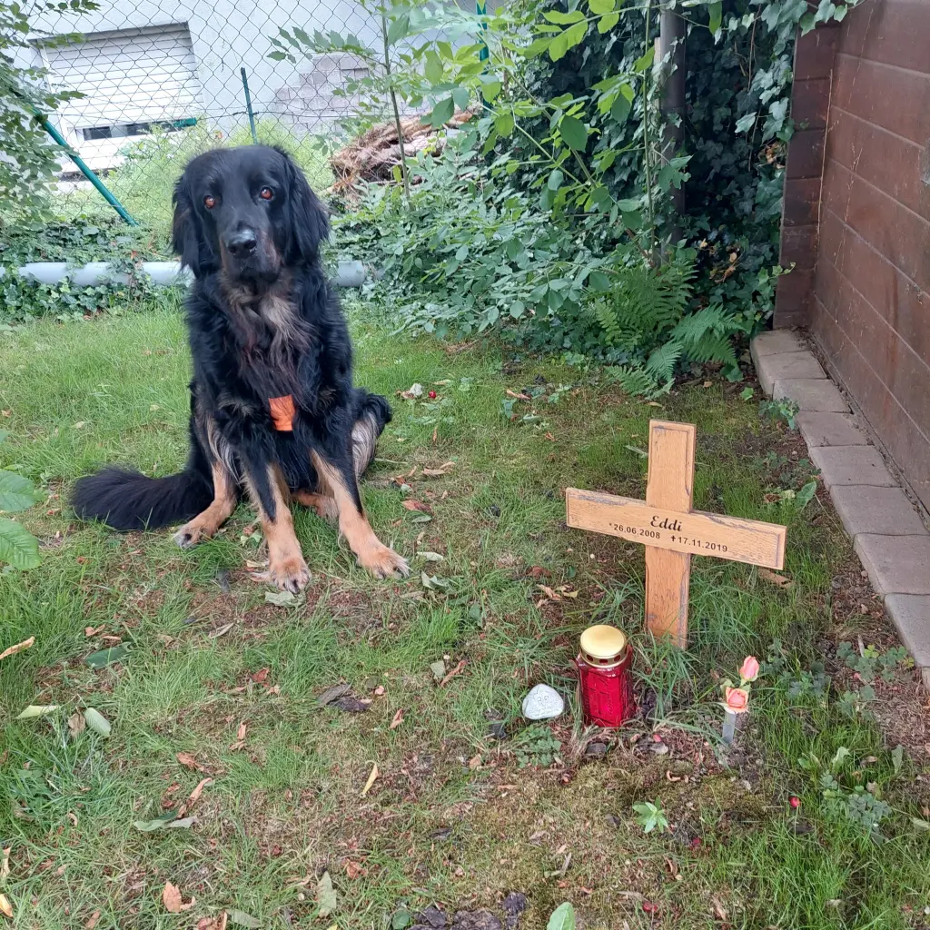 Condolence image of Herbert, Annette und Little Joe