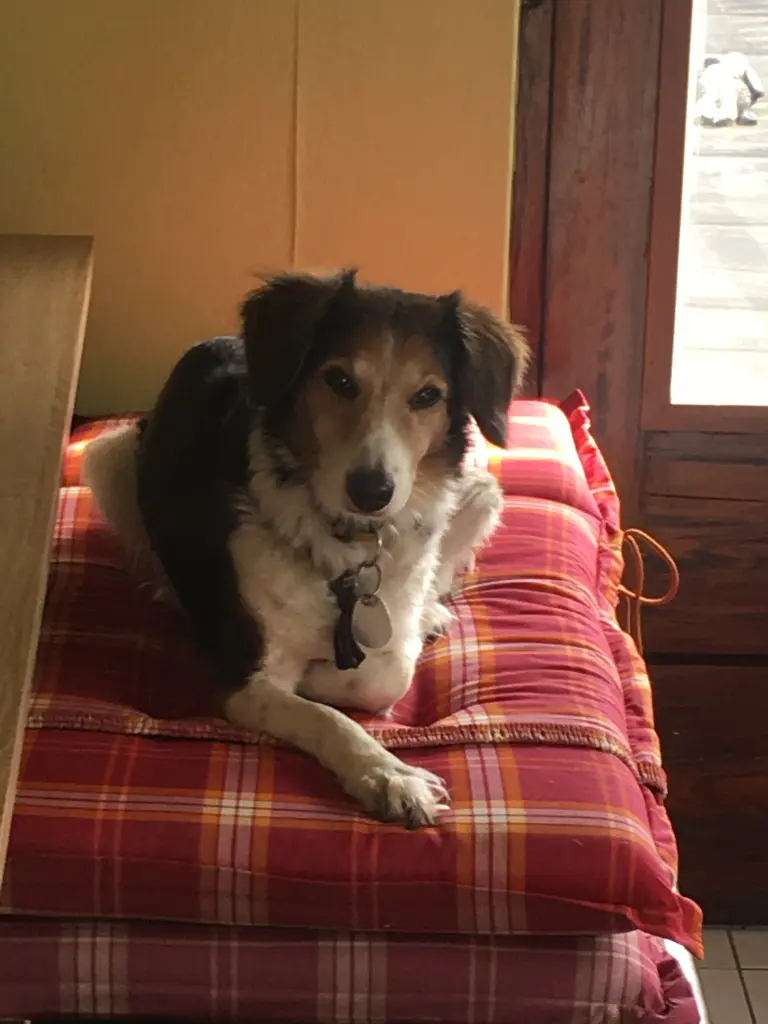 Andachtsbild von petra