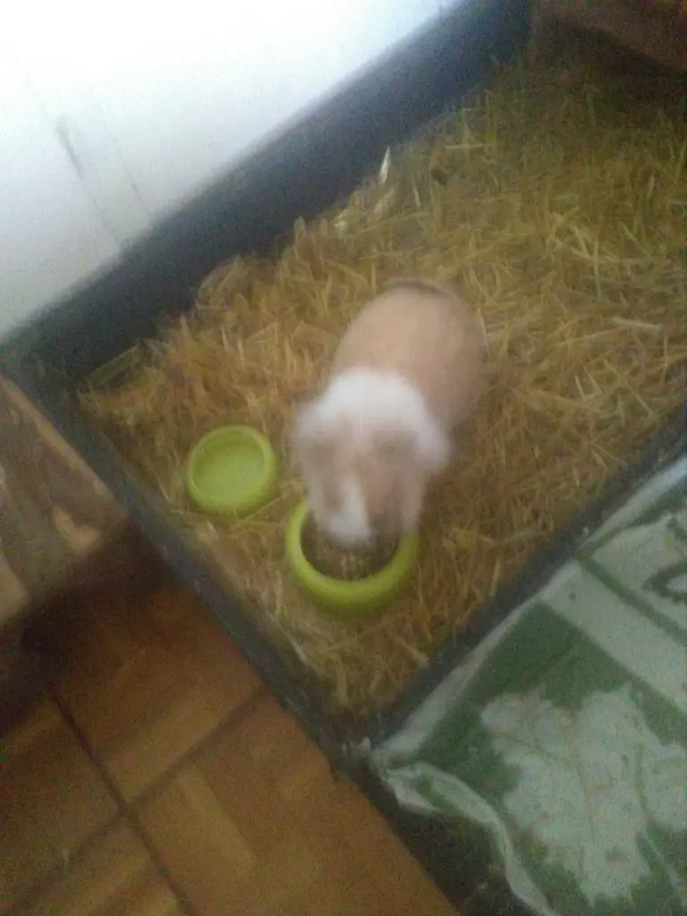 Bild von Max