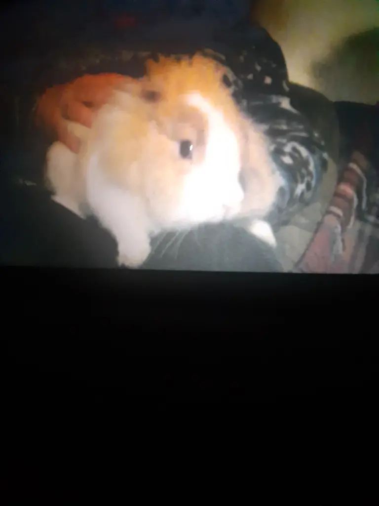 Bild von Max