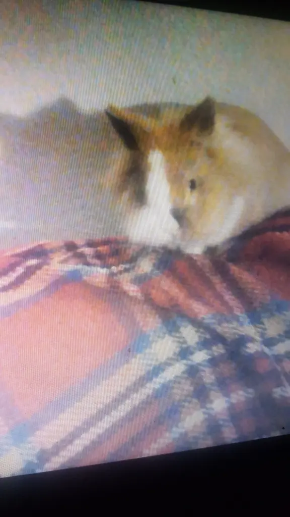 Bild von Max