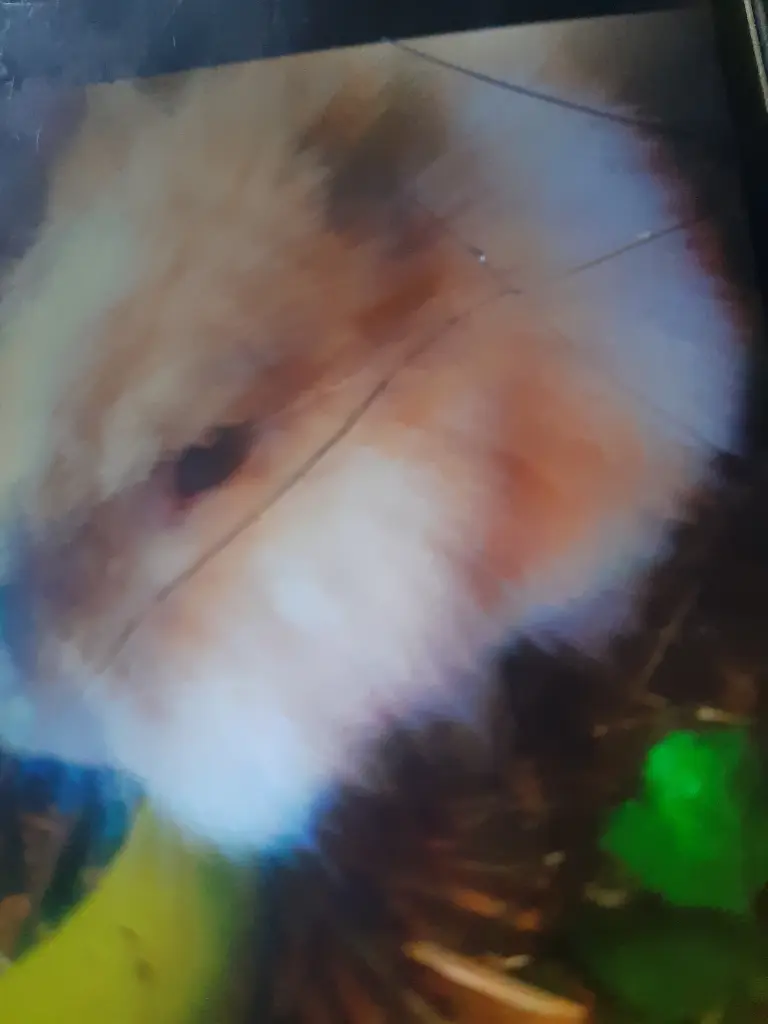 Bild von Max