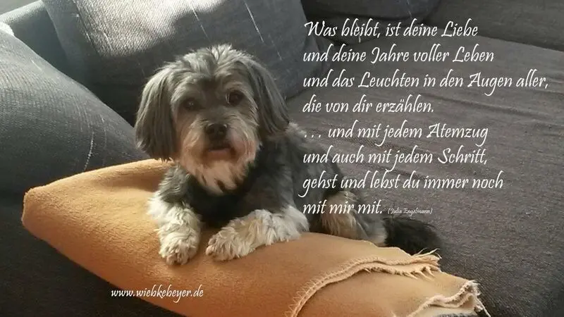 Condolence image of Wiebke