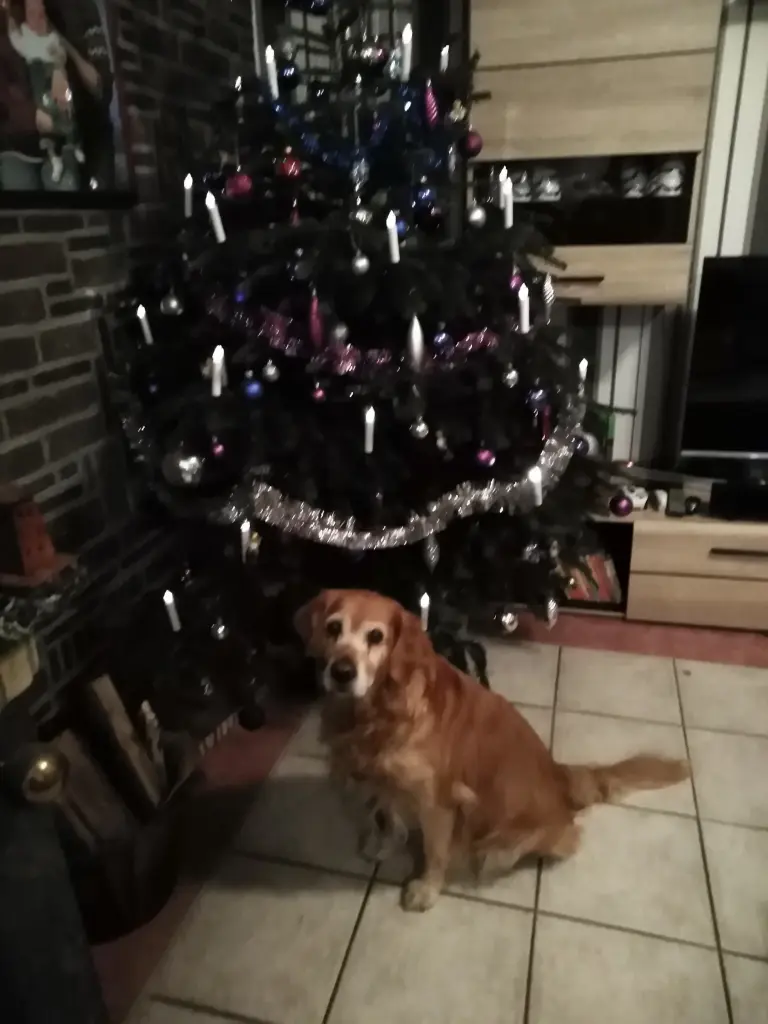 Andachtsbild von Ellen mit Lina ♥️