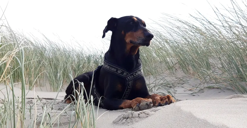 Condolence image of Martina (Brisco)