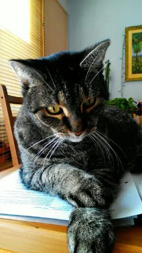 Image from Nele