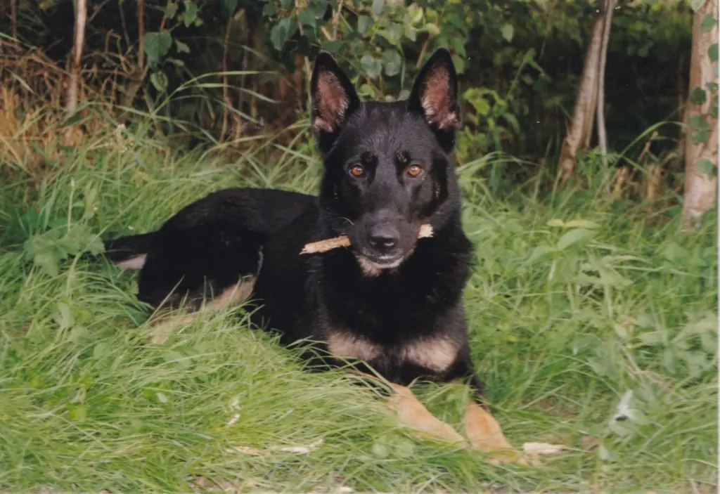 Condolence image of Marco