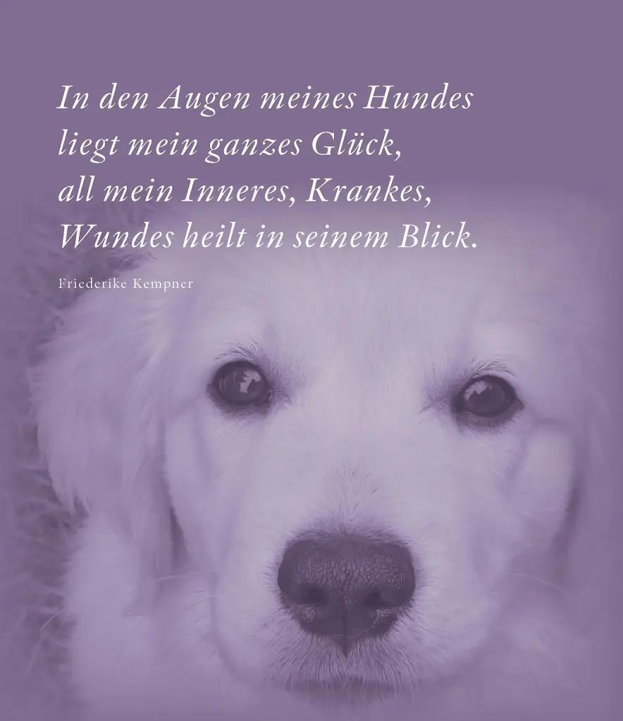 Condolence image of Sabine mit Kaspar tief im Herzen