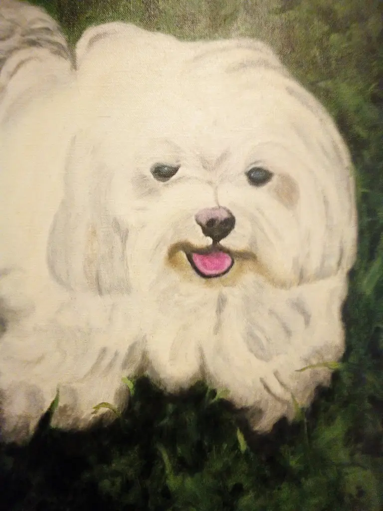 Image from Tessa