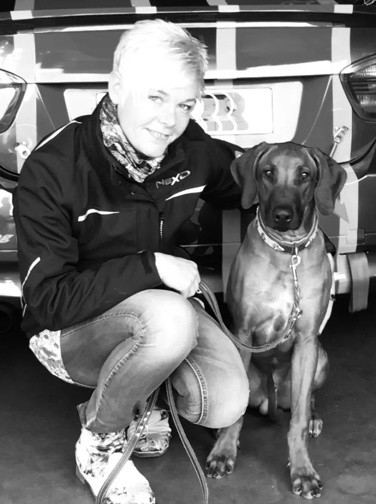 Bild von Dante