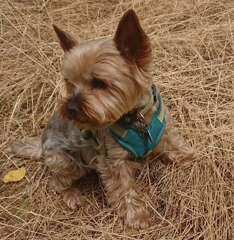 Image from Junior