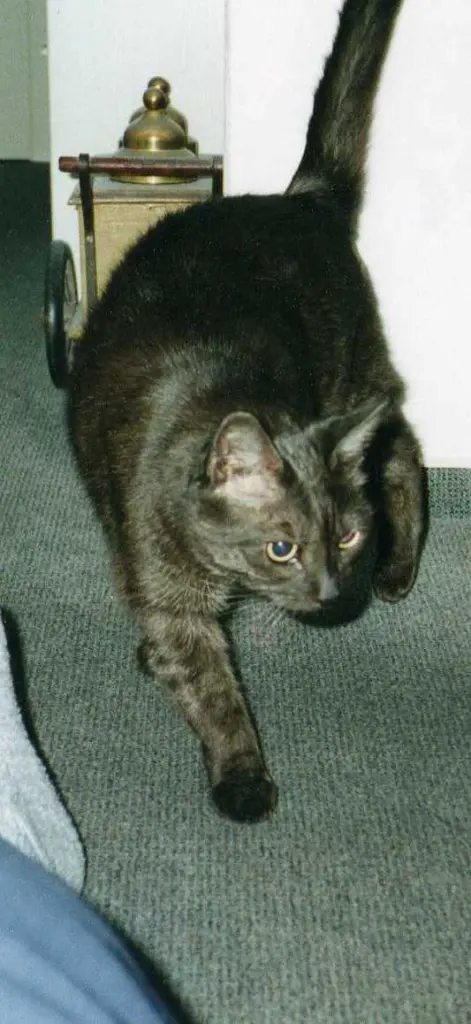 Andachtsbild von deiner Ilse