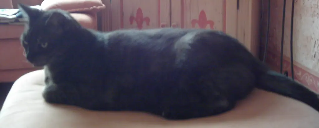 Andachtsbild von deiner Ilse in Liebe