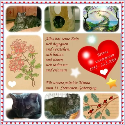 Andachtsbild von deiner Ilse zum 11. Sternchen-Gedenktag