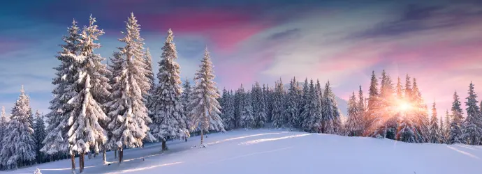 Image from Foxi