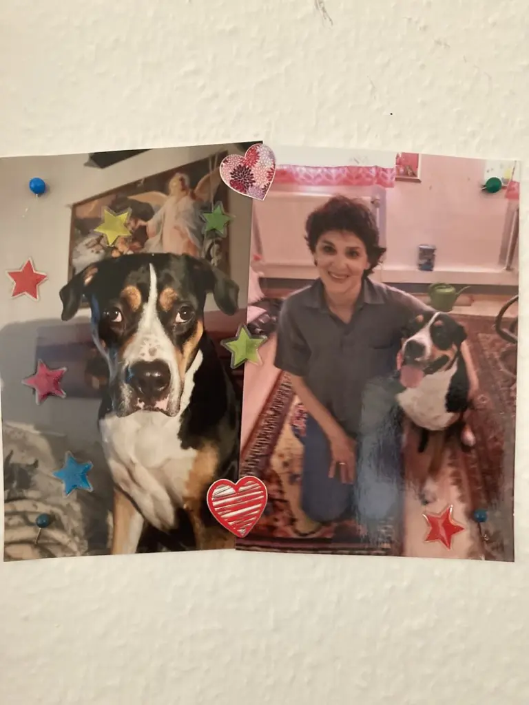 Condolence image of Annemarie