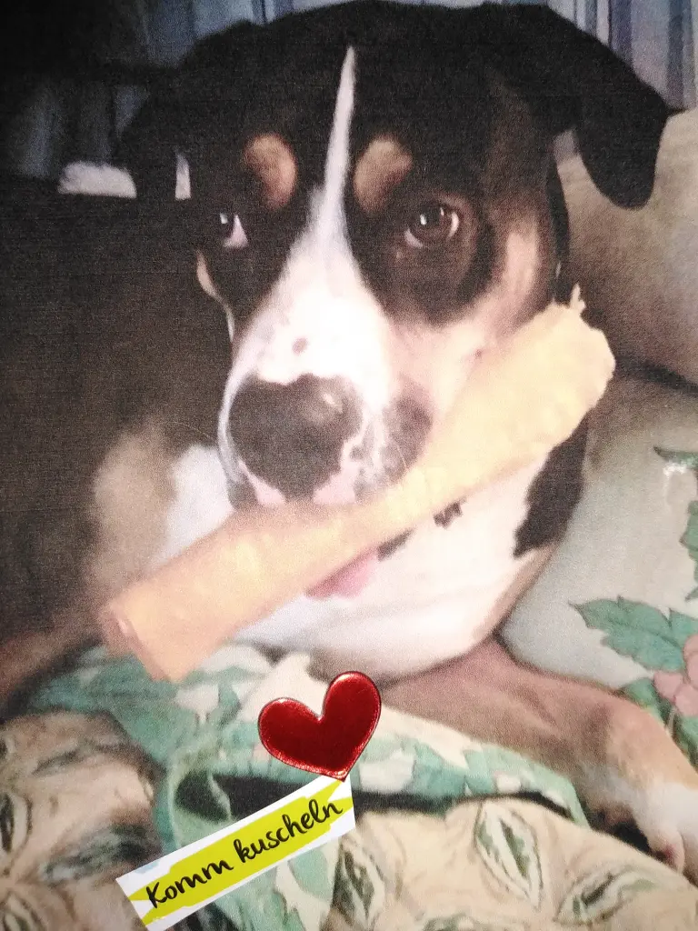 Image from Lilly Marie