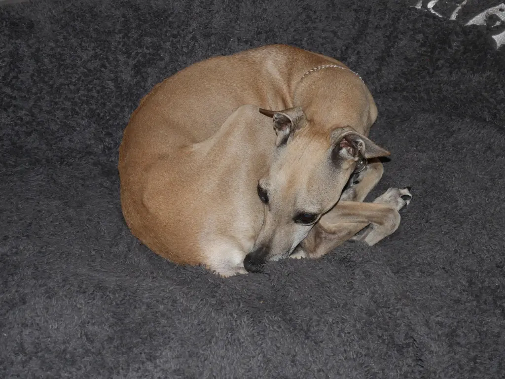 Condolence image of Unbekannt