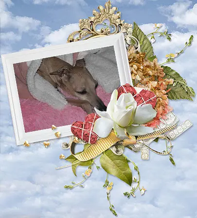 Condolence image of Ulla mit Cinderellchen im Herzen