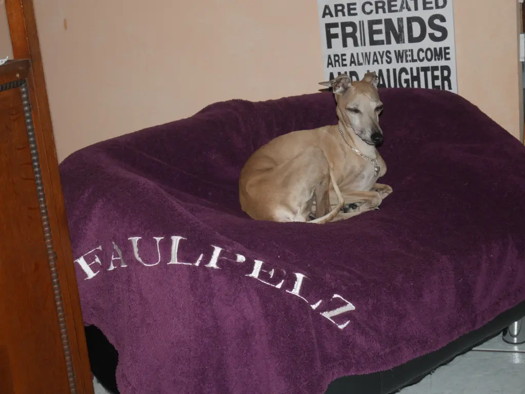 Condolence image of Ulla mit Cinderellchen im Herzen