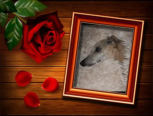 Condolence image of Ulla mit Cinderellchen im Herzen