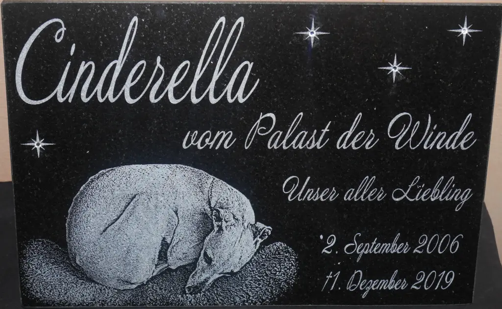 Condolence image of Ulla mit Cinderella im Herzen