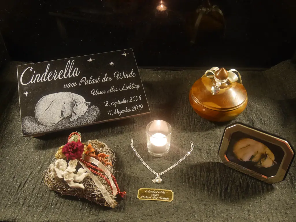 Image from Cinderella vom Palast der Winde