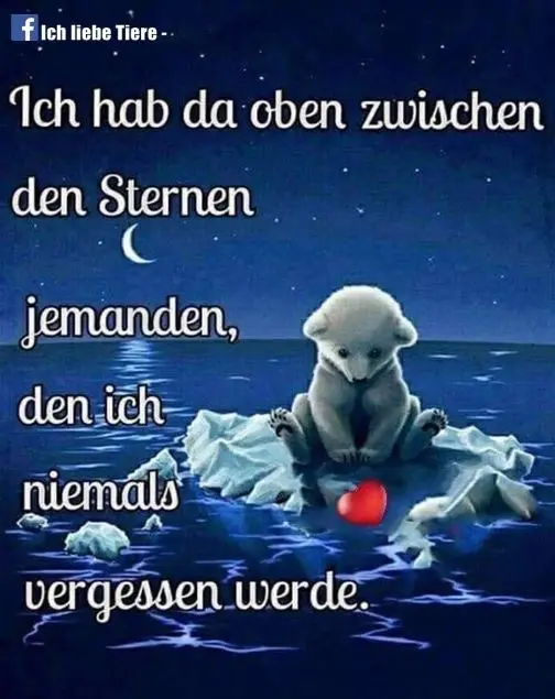 Condolence image of Verena mit Olli tief im Herzen ♥️ 29.06.2019✨✨✨