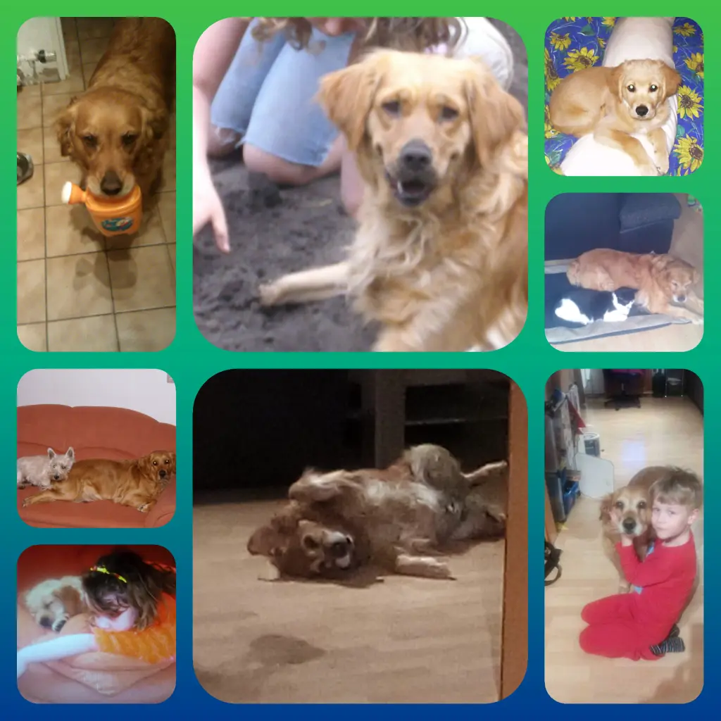 Condolence image of Ellen
