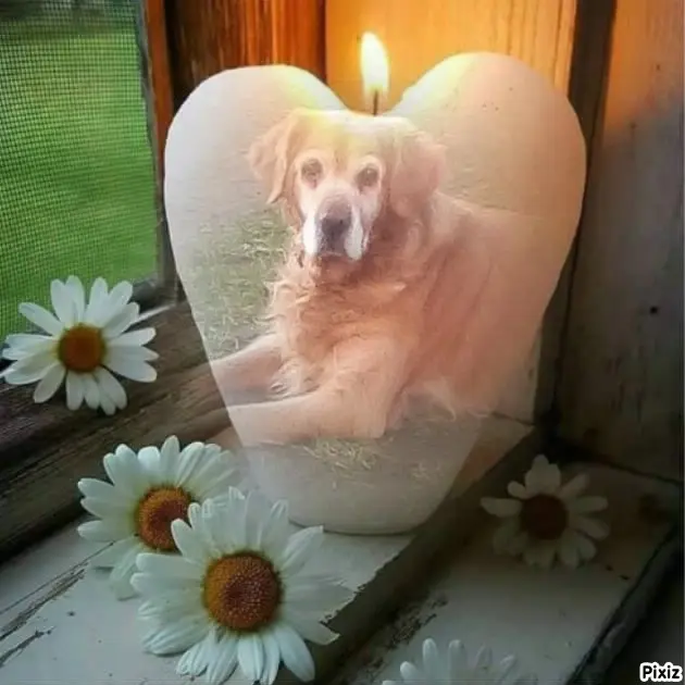 Condolence image of ❤️❤️❤️