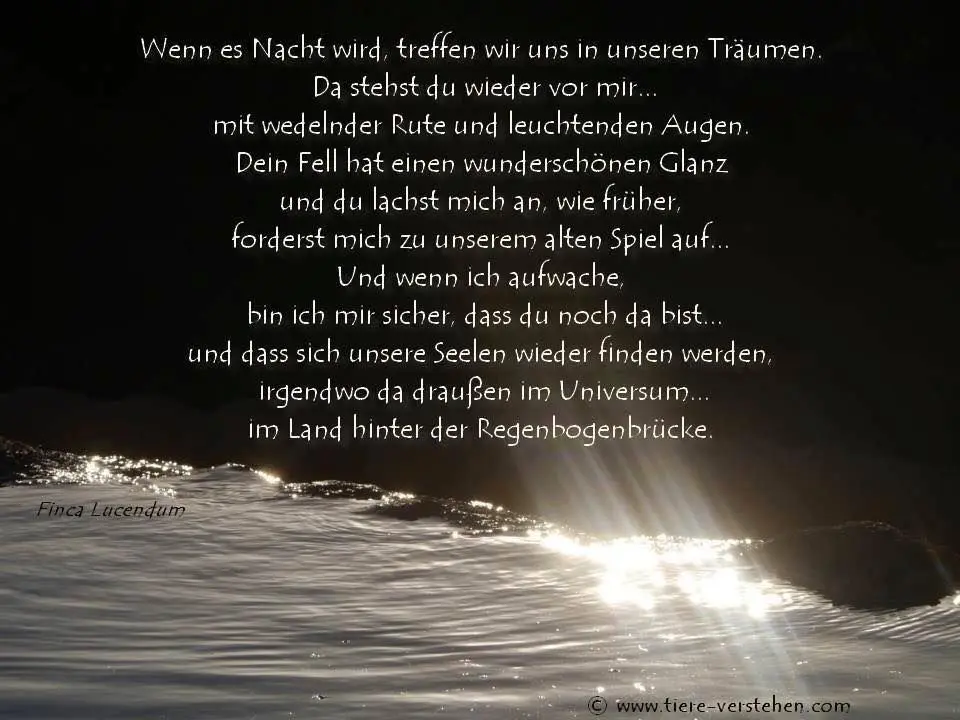 Condolence image of Unbekannt