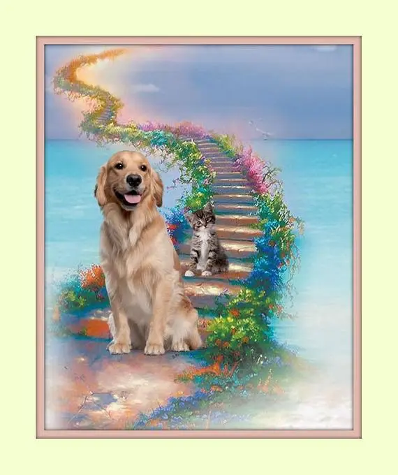 Condolence image of Unbekannt
