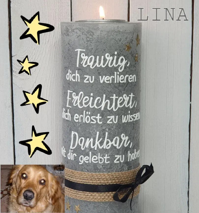 Condolence image of Sabine mit Kaspar tief im Herzen